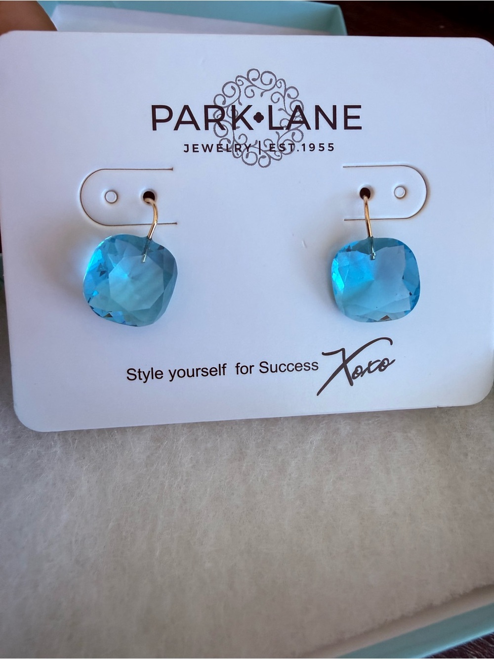 Park Lane Aqua Earrings